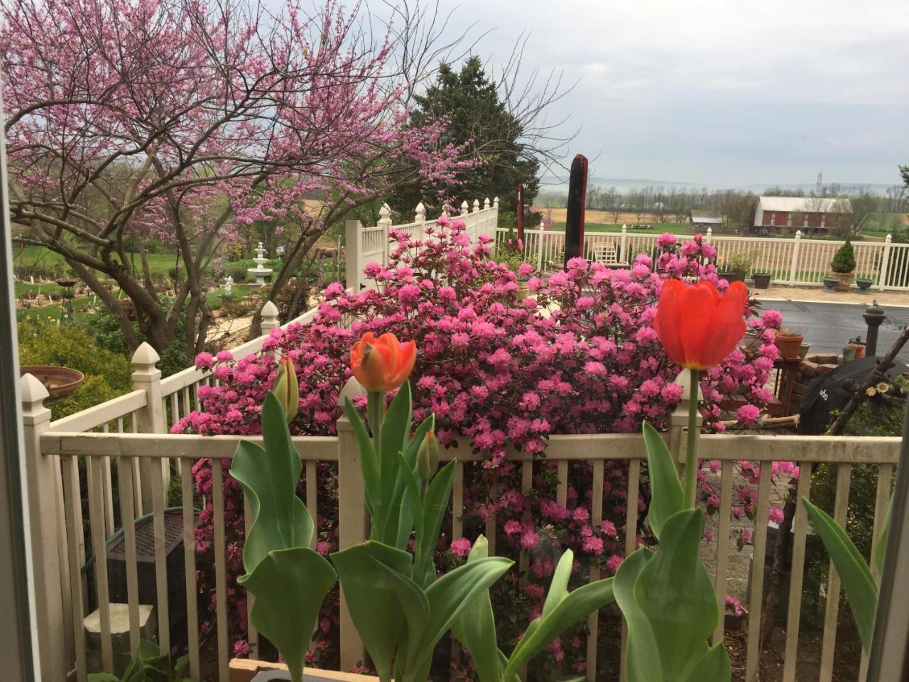 Annville Inn Bed & Breakfast Dış mekan fotoğraf